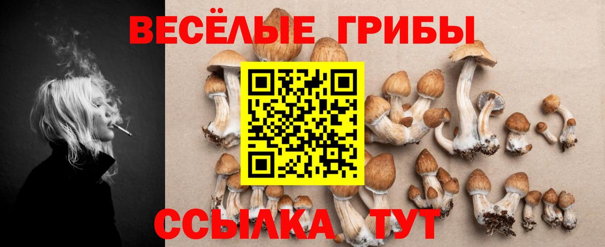 Псилоцибиновые грибы GOLDEN TEACHER  Вход с VPN  Когалым 